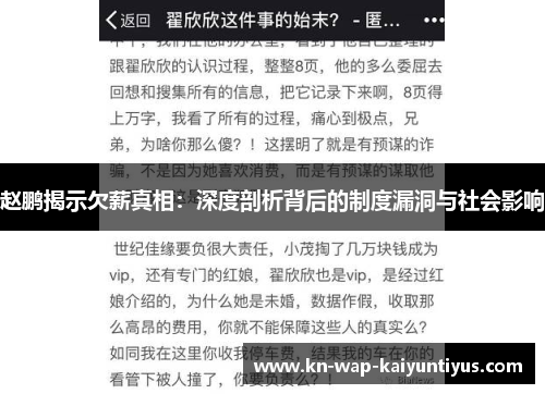 赵鹏揭示欠薪真相：深度剖析背后的制度漏洞与社会影响