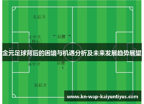 金元足球背后的困境与机遇分析及未来发展趋势展望 金元足球背后的困境与机遇分析及未来发展趋势展望