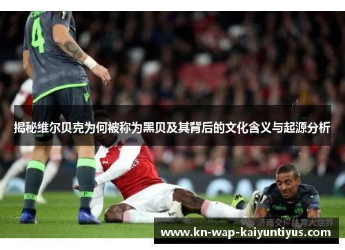 揭秘维尔贝克为何被称为黑贝及其背后的文化含义与起源分析 揭秘维尔贝克为何被称为黑贝及其背后的文化含义与起源分析