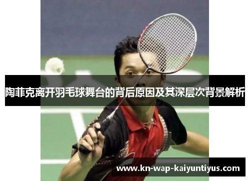 陶菲克离开羽毛球舞台的背后原因及其深层次背景解析 陶菲克离开羽毛球舞台的背后原因及其深层次背景解析