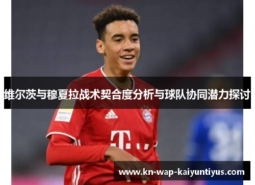 维尔茨与穆夏拉战术契合度分析与球队协同潜力探讨