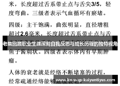老詹回顾职业生涯深刻自我反思与成长历程的独特视角 老詹回顾职业生涯深刻自我反思与成长历程的独特视角